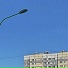 Florii