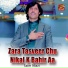 Saim Niazi