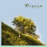 Raynum