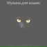 Музыка для кошек