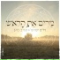 חיים ישראל, סגיב כהן