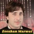 Zeeshan Marwat