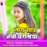 Ramesh Bedardi