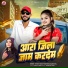 Nitish Yadav Pradhan, Radha Raj