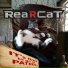 Rear Cat