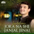 Jawad Hussain