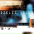 Dzelzs Vilks
