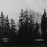 RVDMNTL