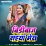 Sitara Sargam
