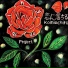 Shinyuu Project
