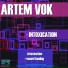 Artem Vok