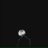blxdssed