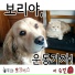 Lee seung yeol feat. Lee In-mok
