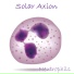 Solar Axion