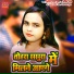 Mausam Raja Gupta, Shilpi Raj