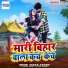 Bairagi Ji Bihari