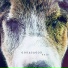 Godasadog, Matéria Prima, Bruno Kayapy