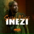 Inezi, Addis Records