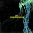 Talos feat. Jerome Thomas