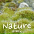 Amotio