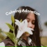 Calm Pregnancy Music Academy