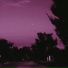 redn1te