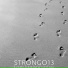 STRONGO13