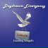 Daydream Emergency