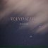 Wandalism