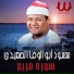 El Sheikh Mahmoud Abo El Wafa El Se3edy