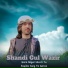 Shandi Gul Wazir