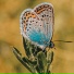Дима Лапкин
