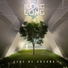 longlong