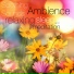 Ambience Sounds of Nature Specialists