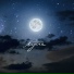 DeeSpace