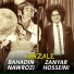 Zanyar Hosseini, Bahadin Nawrozi