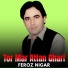 Feroz Nigar