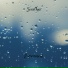 Searcher