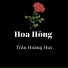 Trần Hoàng Huy