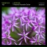Ultraphonic
