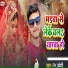PK Pardeshi