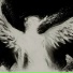725, diorelic