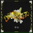 Young Earth Sauce, Faal