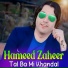Hameed Zaheer