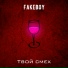Fakeboy