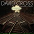 David Cross