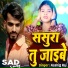 Aashiq Raj