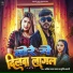 Amit Lal Yadav, Srishti Bharti