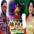 Dilip Sixer