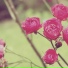 蒋雪萱